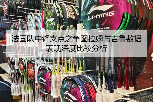 法国队中锋支点之争图拉姆与吉鲁数据表现深度比较分析